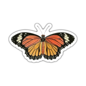Mariposa Naranja – Vinilo blanco + Laca brillante