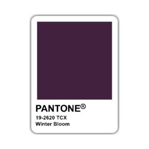 Pantone – Vinilo blanco + Laca brillante