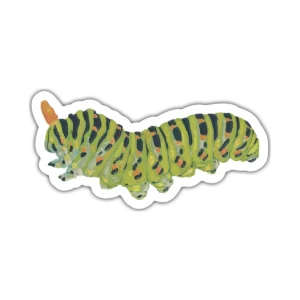 Oruga – Vinilo blanco + Laca brillante