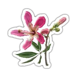 Flor Palo Borracho – Vinilo blanco + Laca brillante
