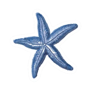 Sticker Estrella de mar – Laca brillante