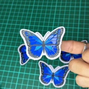 Mariposa Azul - Vinilo blanco + Laca brillante