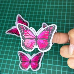 Mariposa Rosa - Vinilo blanco + Laca brillante